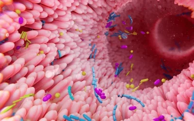 Hinchazón abdominal: causas, síntomas y tratamiento definitivo